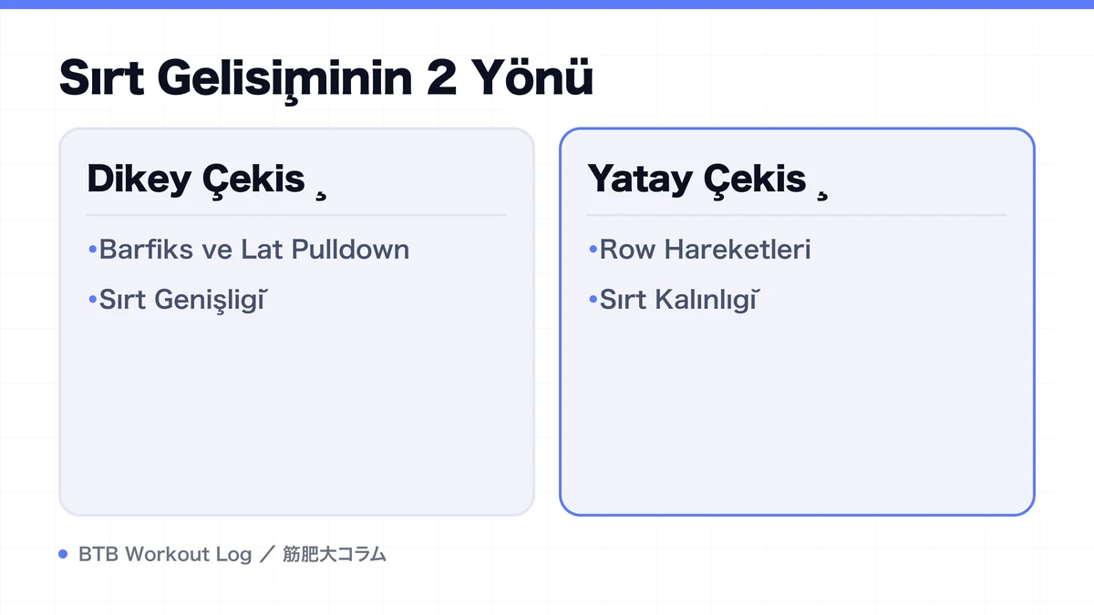 Diagram: Sırt Gelişiminin 2 Yönü