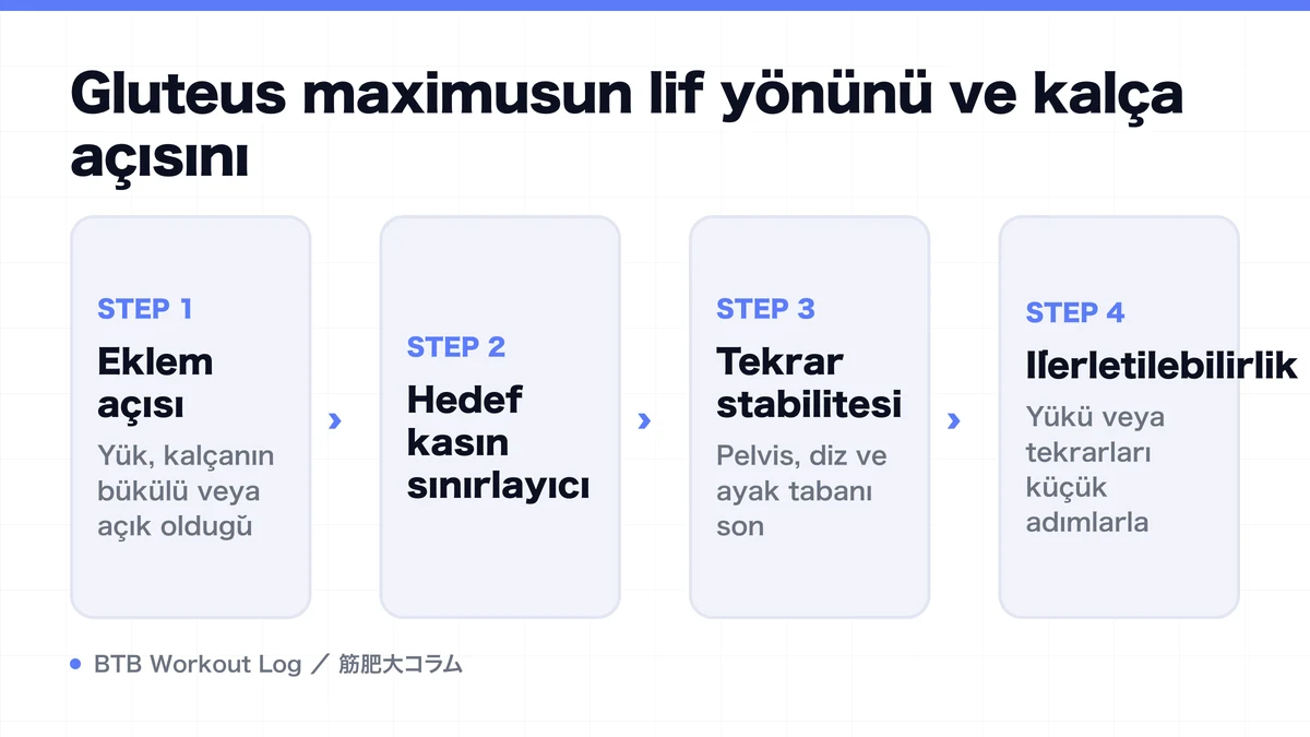 Diagram: Gluteus maximusun lif yönünü ve kalça açısını