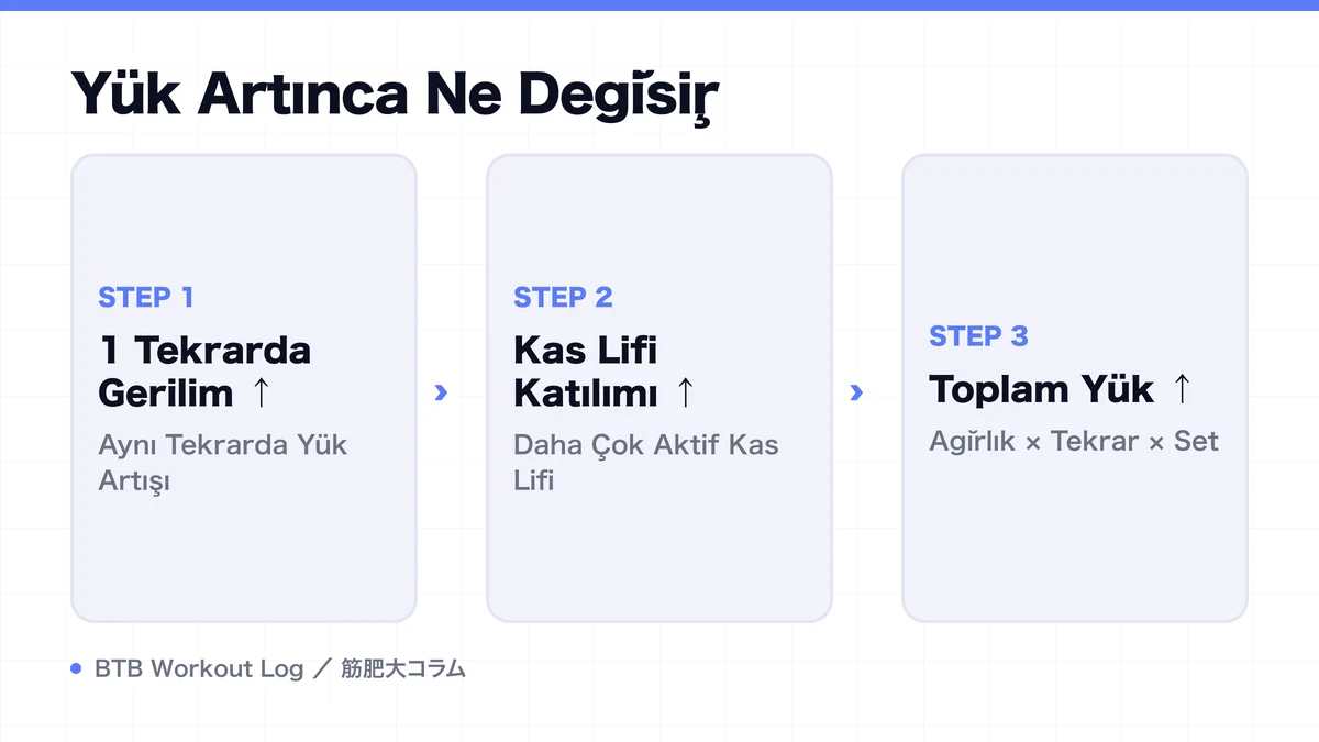 Diagram: Yük Artınca Ne Değişir