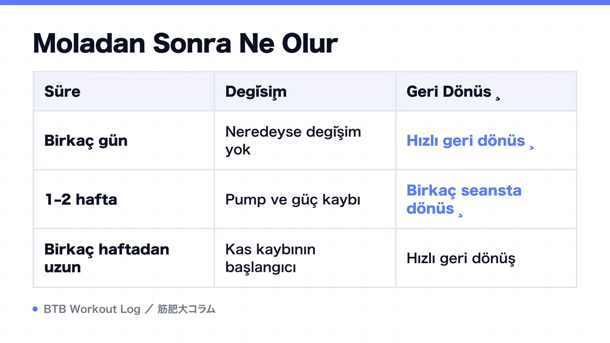 Diagram: Moladan Sonra Ne Olur