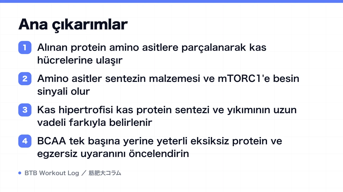 Diagram: Ana çıkarımlar