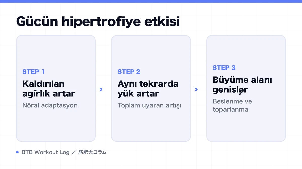 Diagram: Gücün hipertrofiye etkisi