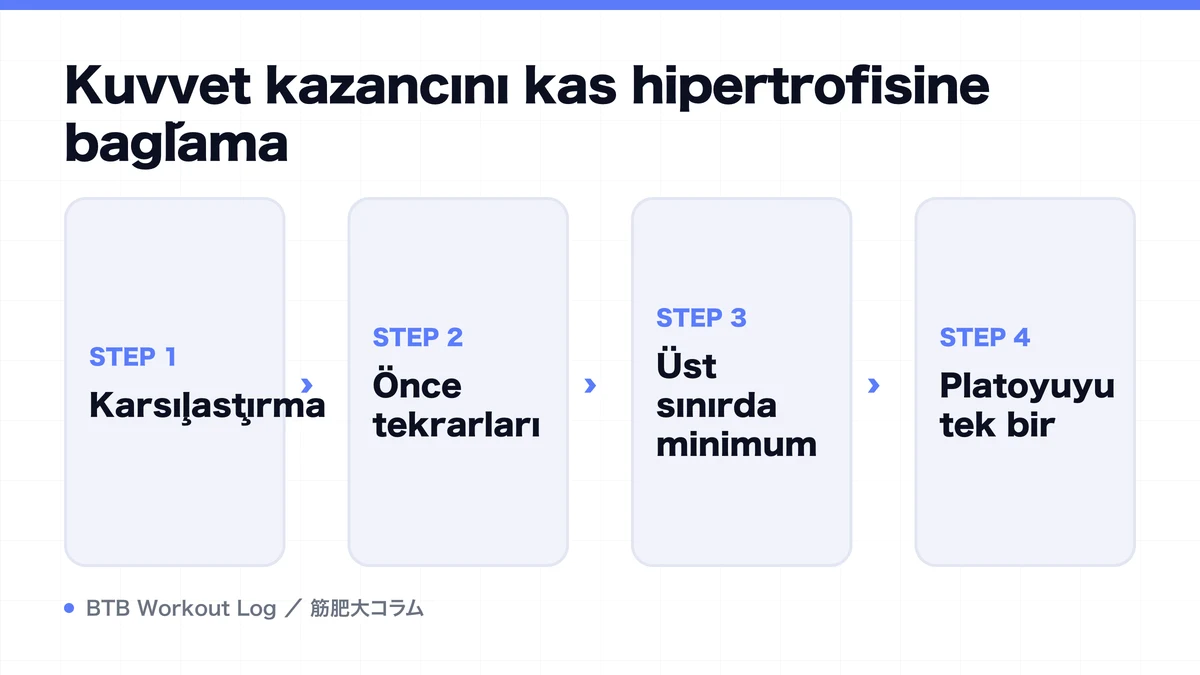 Diagram: Kuvvet kazancını kas hipertrofisine bağlama