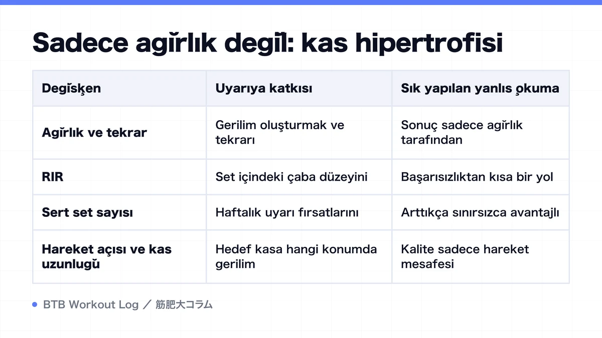 Diagram: Sadece ağırlık değil: kas hipertrofisi