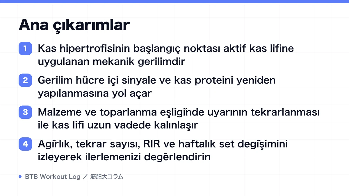 Diagram: Ana çıkarımlar