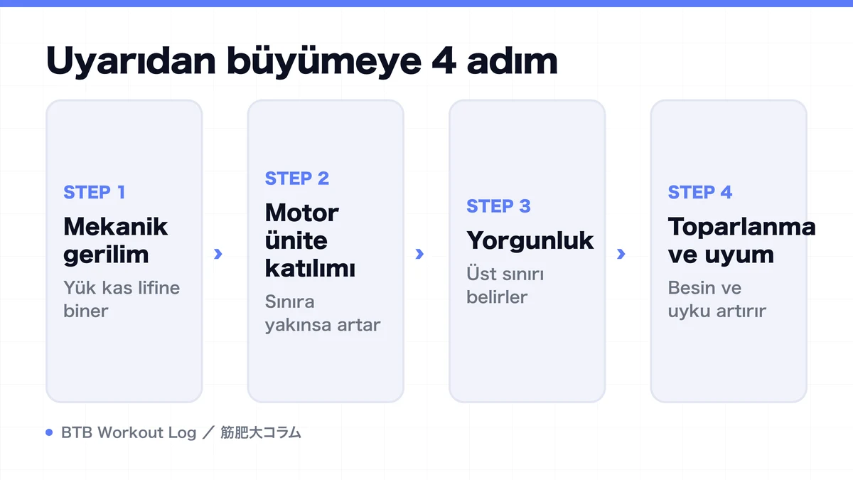 Diagram: Uyarıdan büyümeye 4 adım