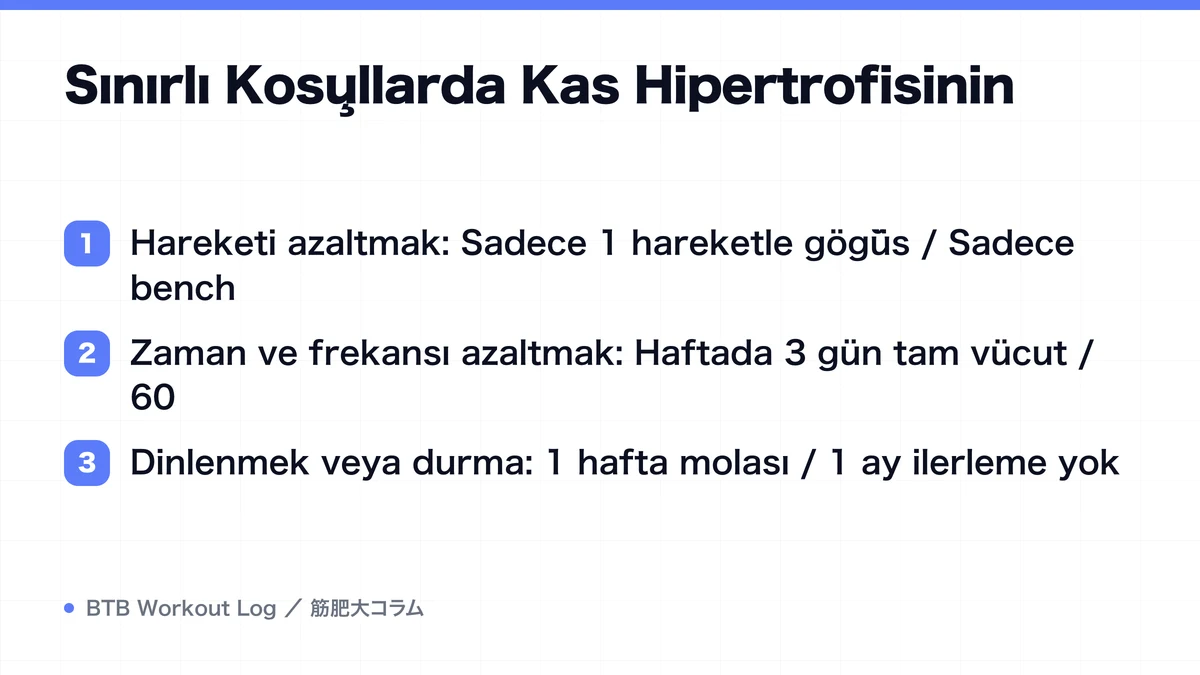 Diagram: Sınırlı Koşullarda Kas Hipertrofisinin