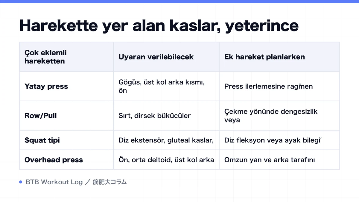 Diagram: Harekette yer alan kaslar, yeterince