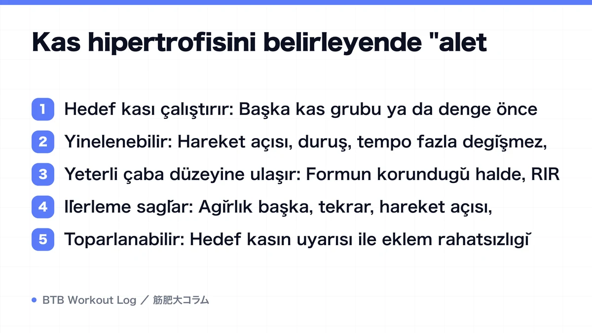 Diagram: Kas hipertrofisini belirleyende "alet