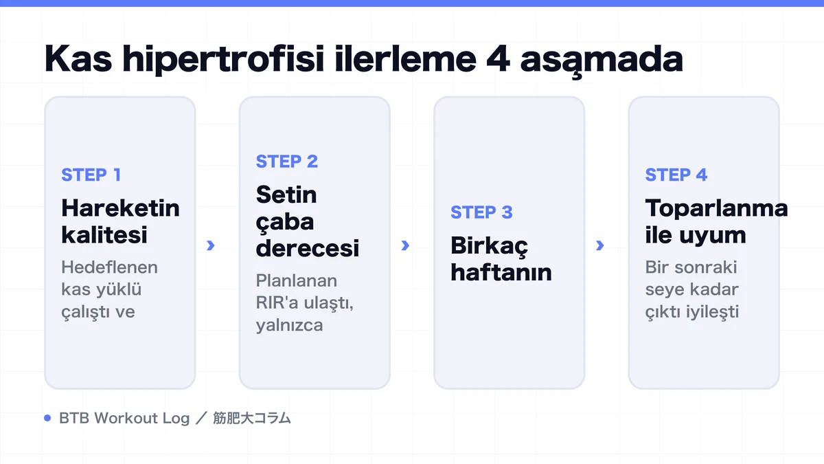 Diagram: Kas hipertrofisi ilerleme 4 aşamada
