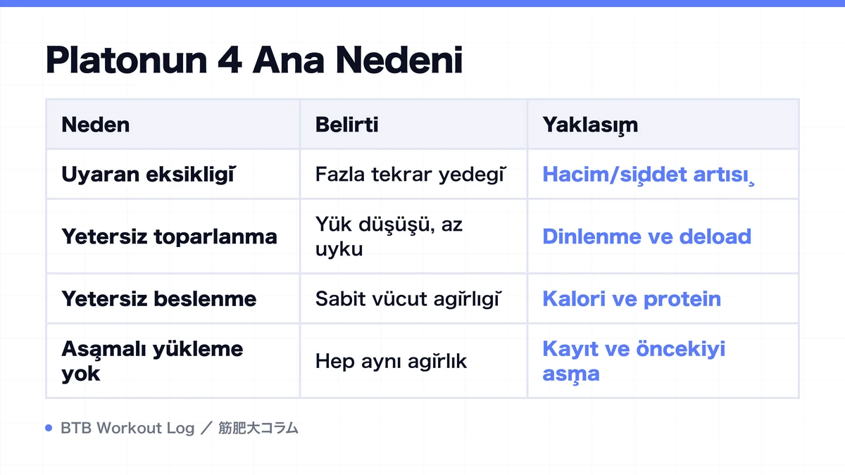 Diagram: Platonun 4 Ana Nedeni