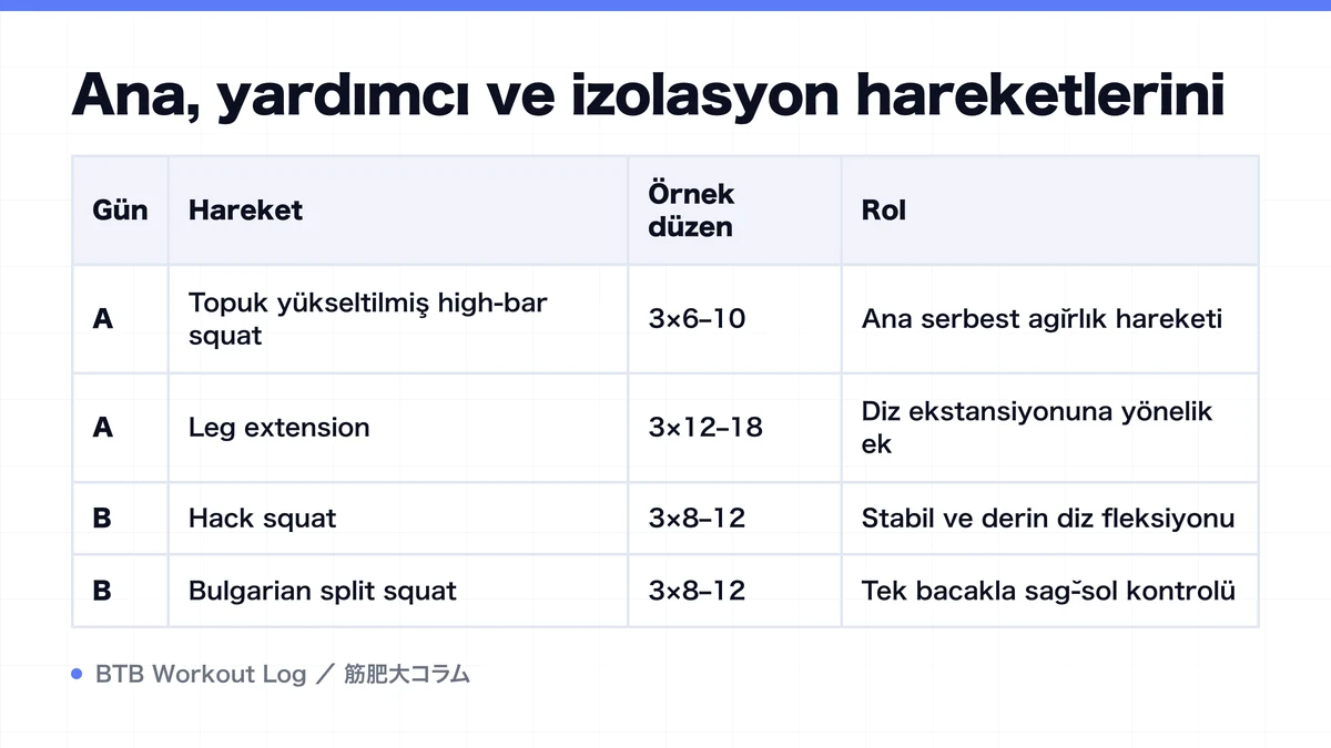 Diagram: Ana, yardımcı ve izolasyon hareketlerini