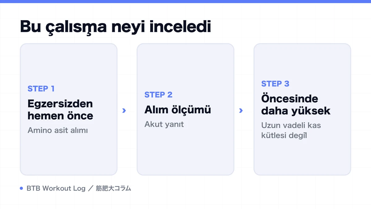 Diagram: Bu çalışma neyi inceledi