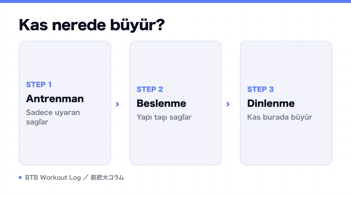 Diagram: Kas nerede büyür?
