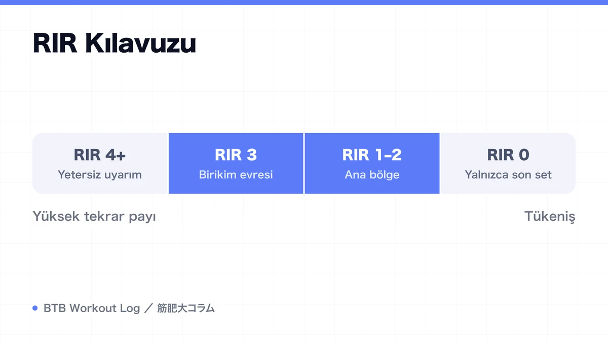 Diagram: RIR Kılavuzu