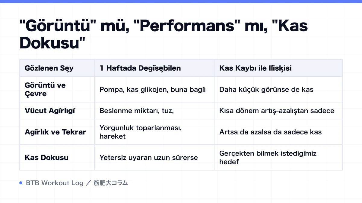 Diagram: "Görüntü" mü, "Performans" mı, "Kas Dokusu"