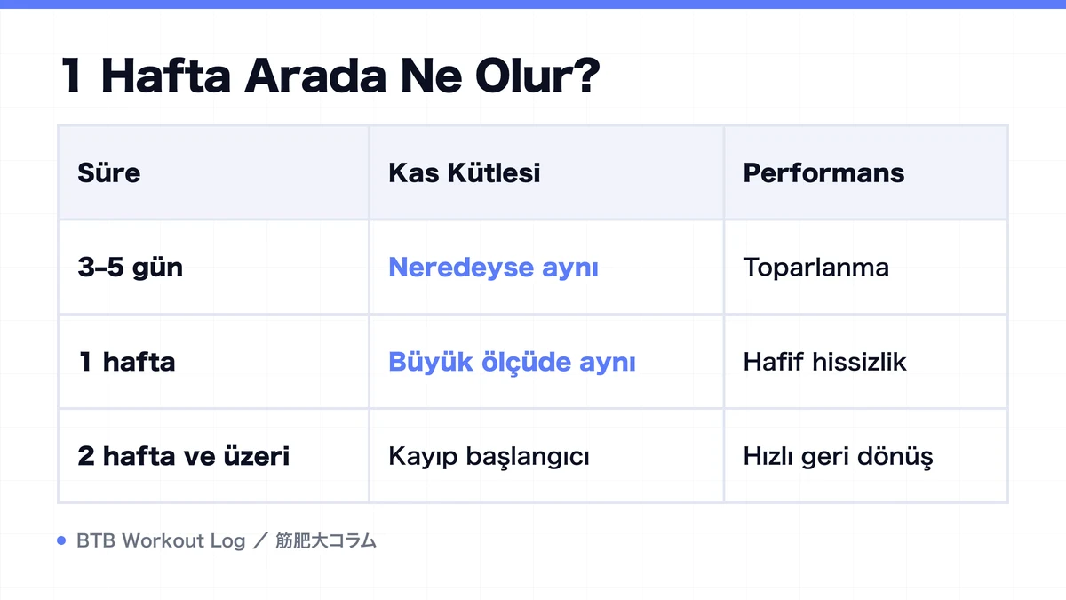 Diagram: 1 Hafta Arada Ne Olur?