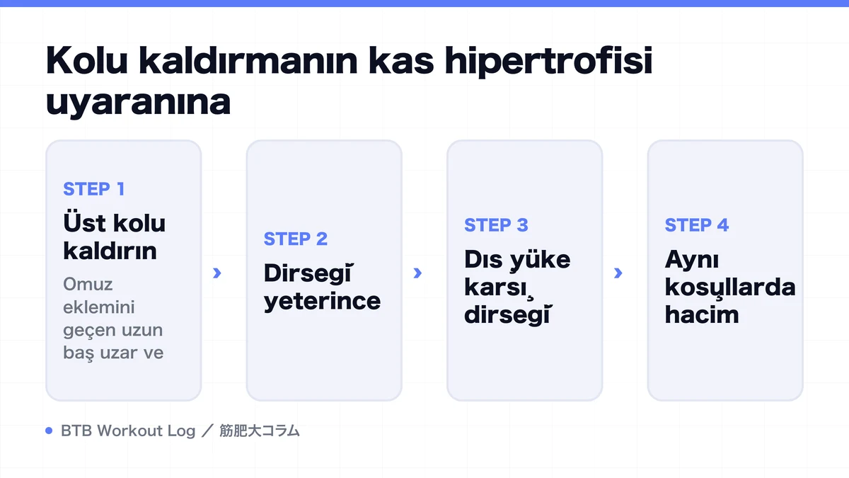 Diagram: Kolu kaldırmanın kas hipertrofisi uyaranına