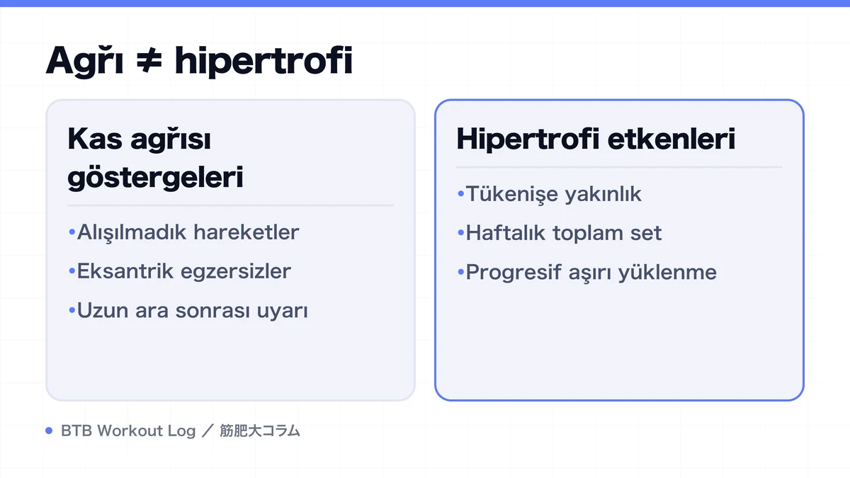 Diagram: Ağrı ≠ hipertrofi
