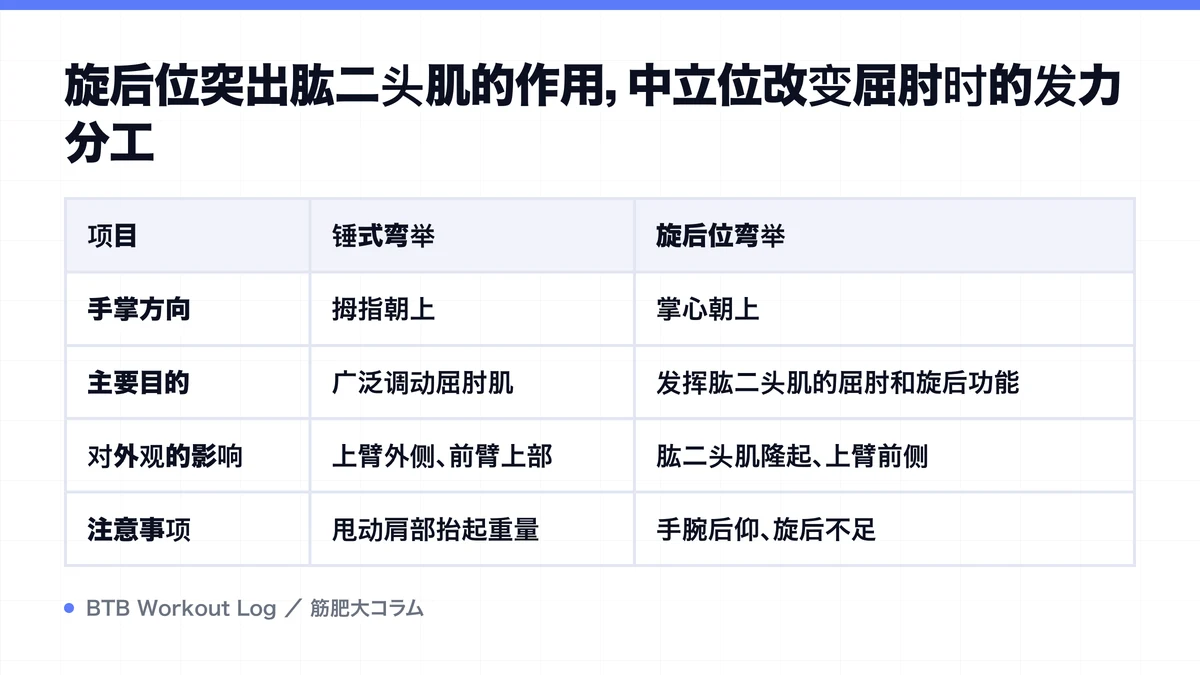 Diagram: 旋后位突出肱二头肌的作用，中立位改变屈肘时的发力分工