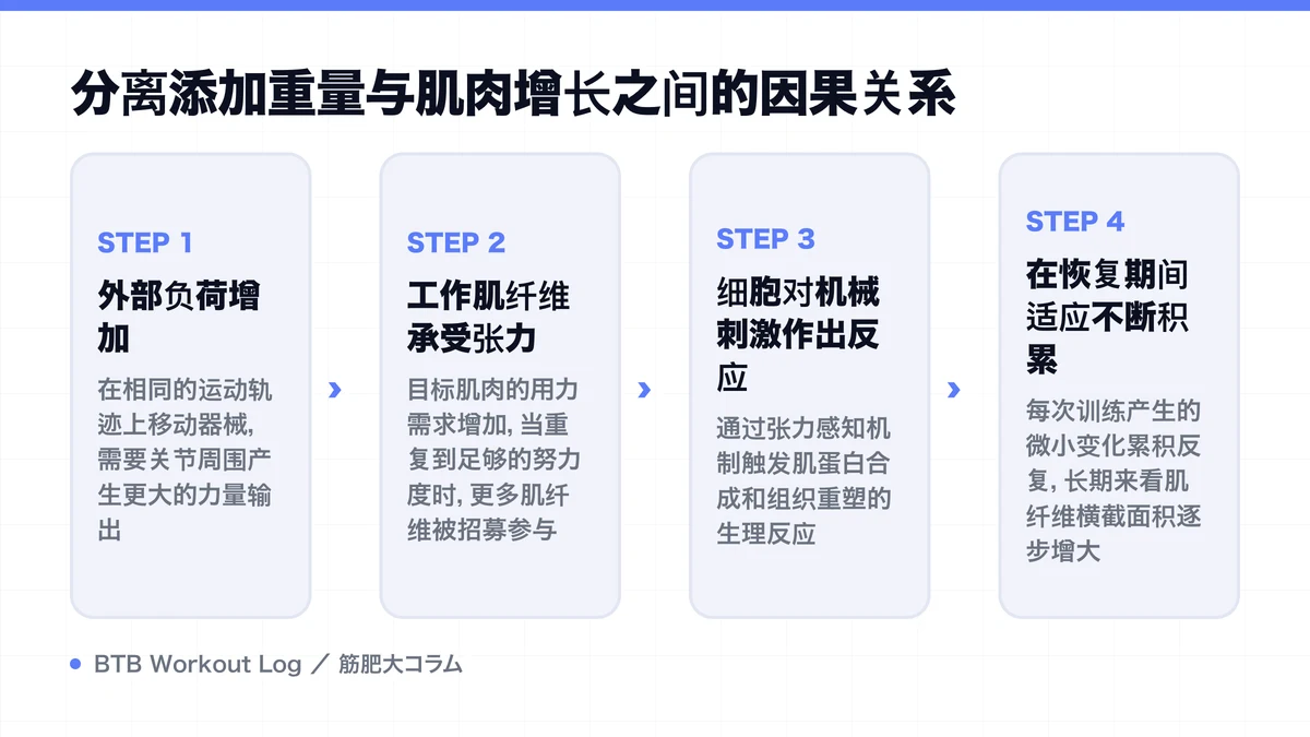 Diagram: 分离添加重量与肌肉增长之间的因果关系
