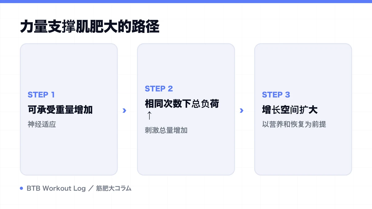 Diagram: 力量支撑肌肥大的路径