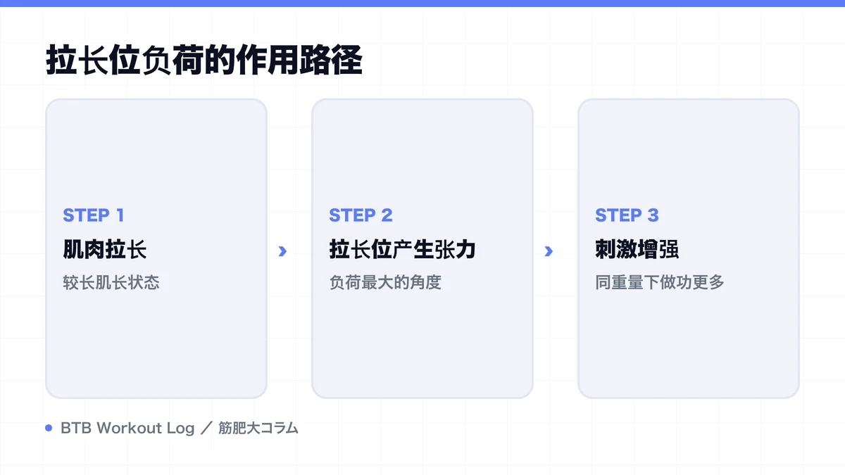 Diagram: 拉长位负荷的作用路径