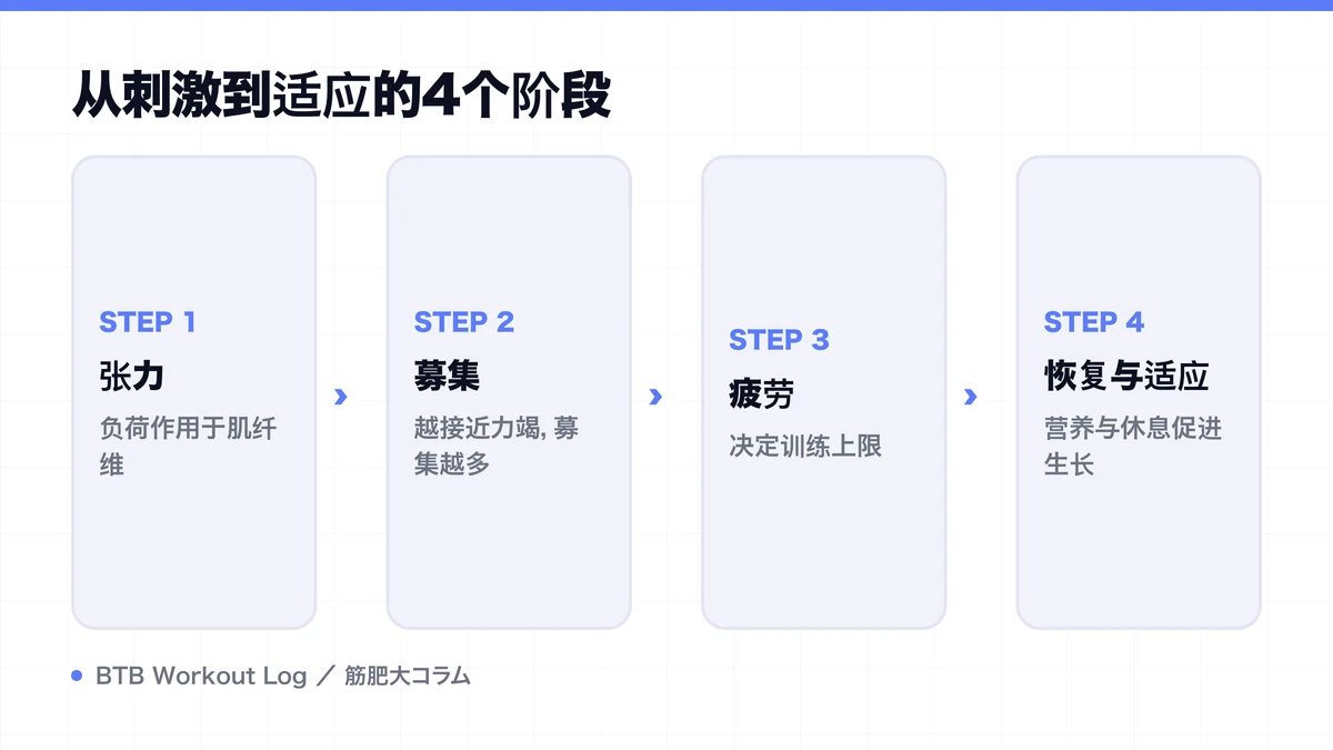 Diagram: 从刺激到适应的4个阶段