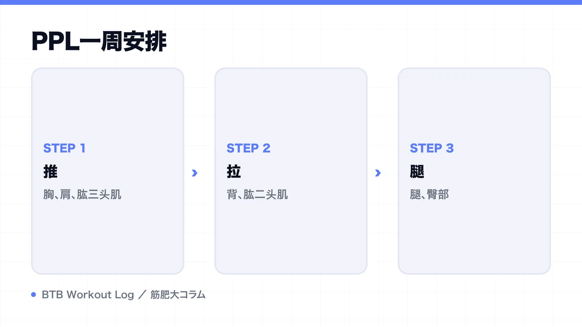 Diagram: PPL一周安排