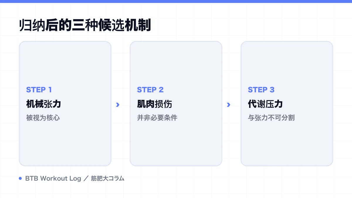 Diagram: 归纳后的三种候选机制