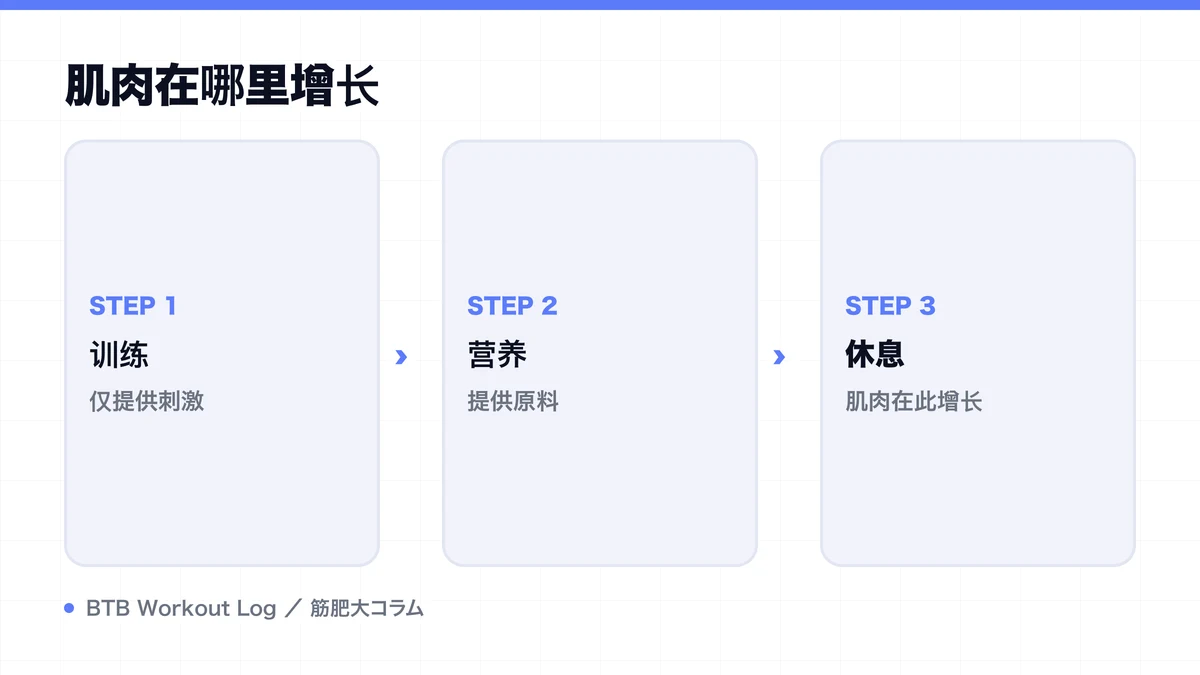 Diagram: 肌肉在哪里增长
