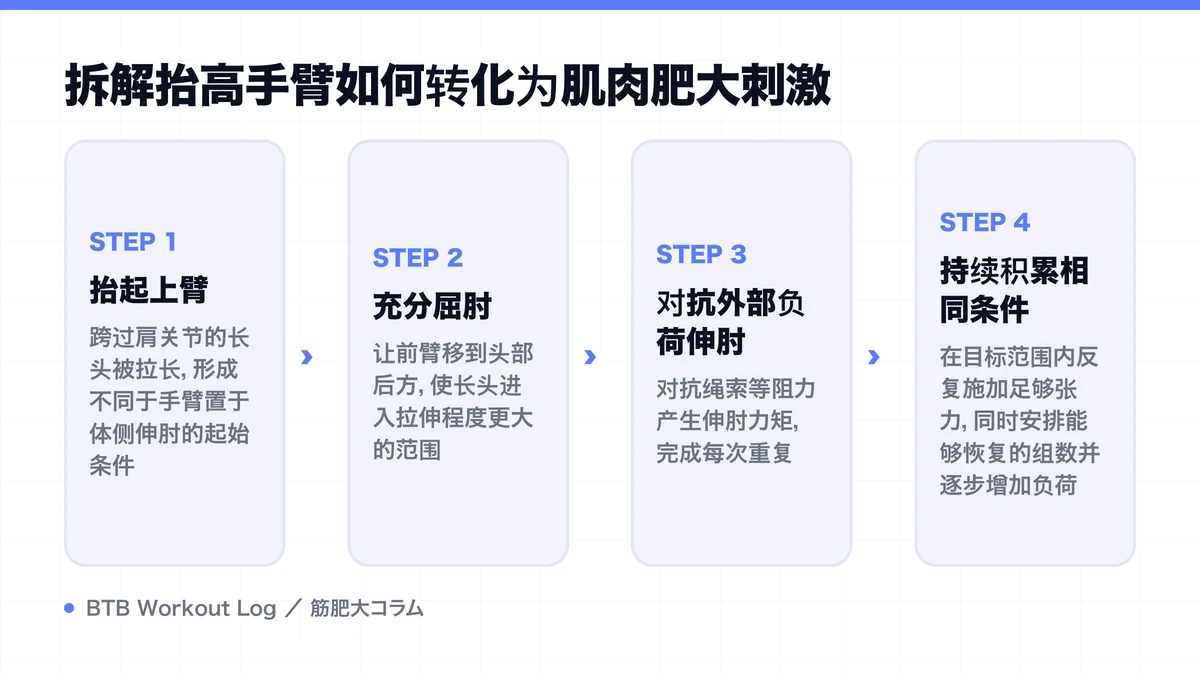 Diagram: 拆解抬高手臂如何转化为肌肉肥大刺激