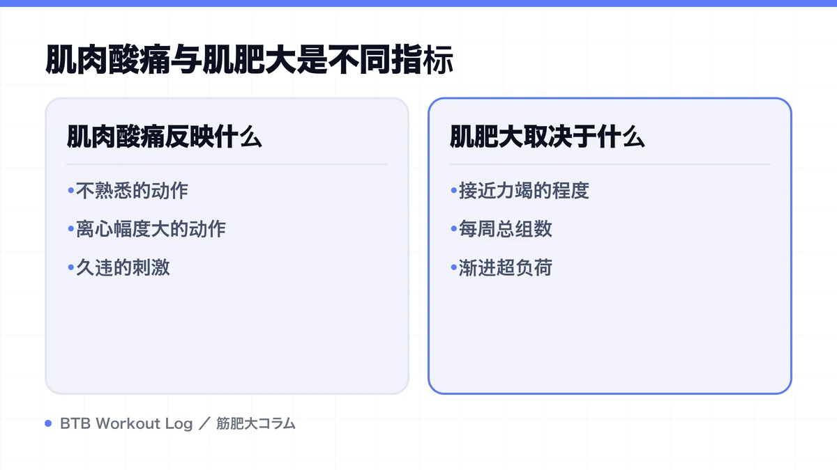 Diagram: 肌肉酸痛与肌肥大是不同指标