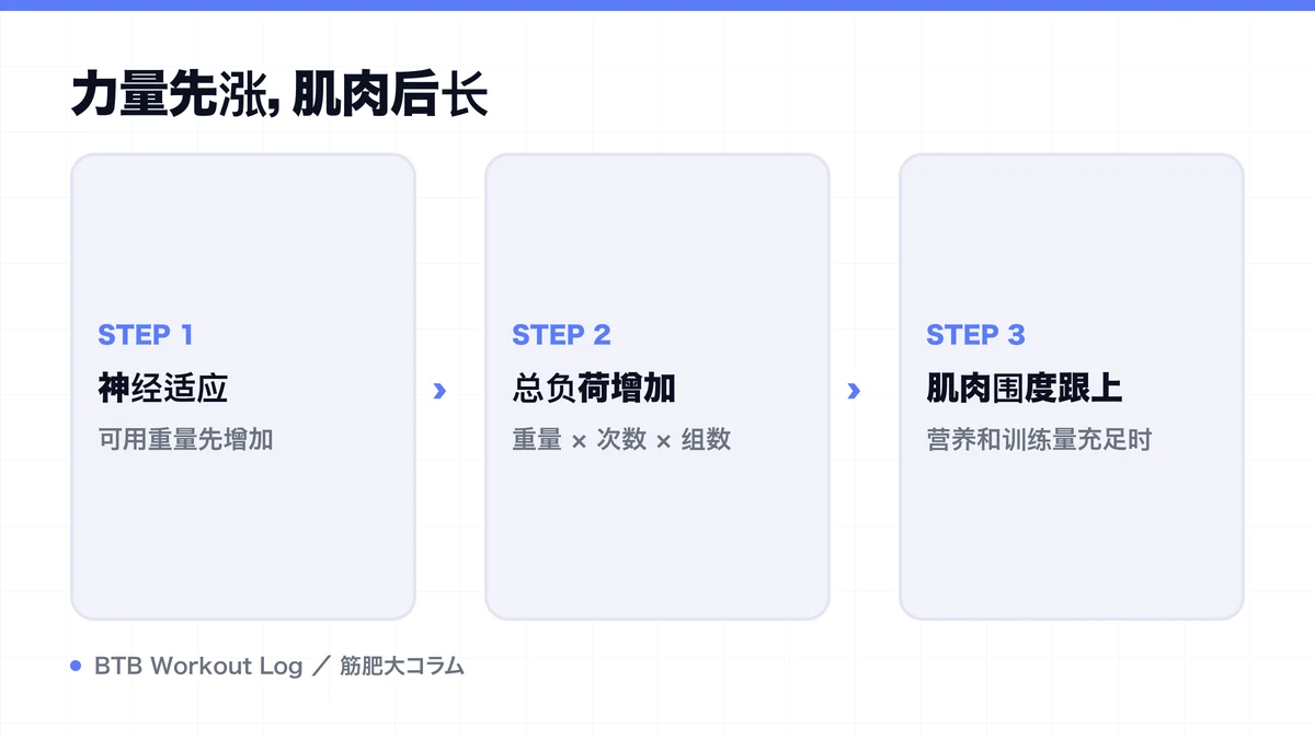 Diagram: 力量先涨，肌肉后长