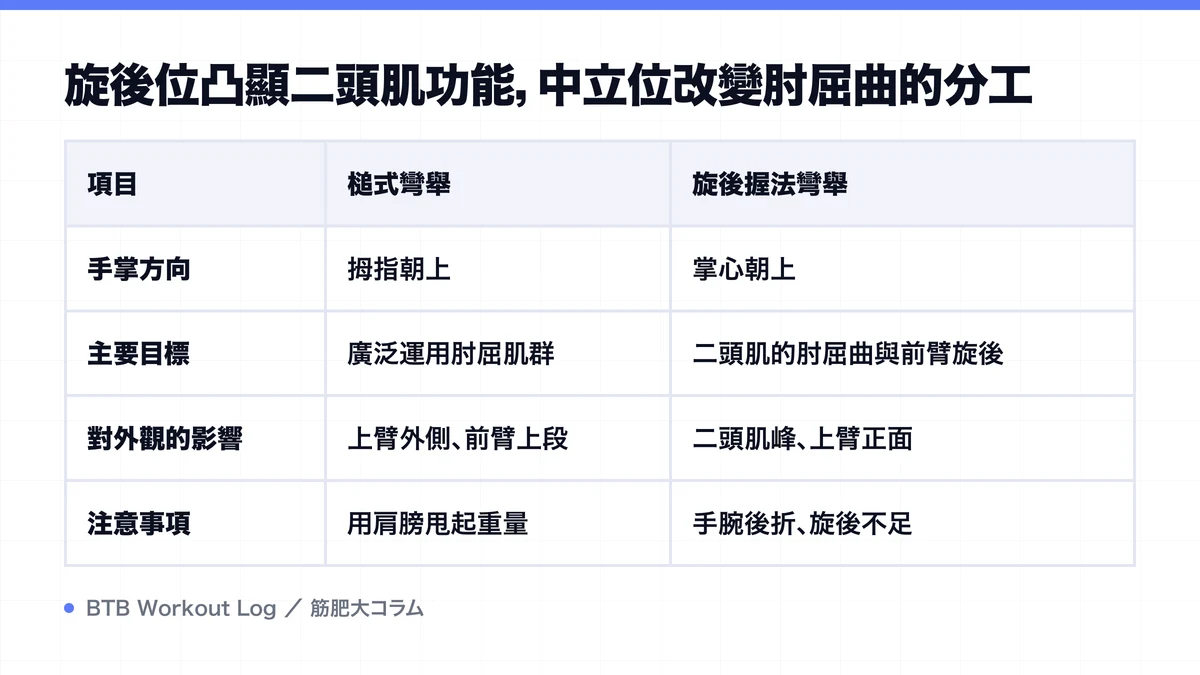 Diagram: 旋後位凸顯二頭肌功能，中立位改變肘屈曲的分工