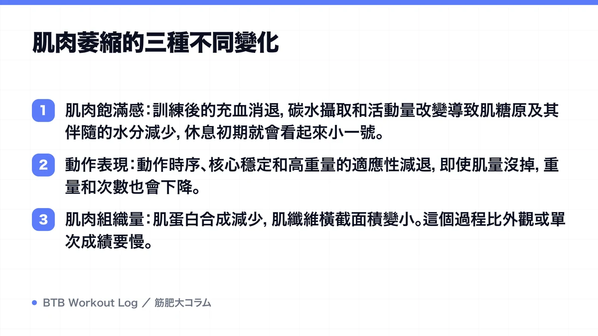 Diagram: 肌肉萎縮的三種不同變化