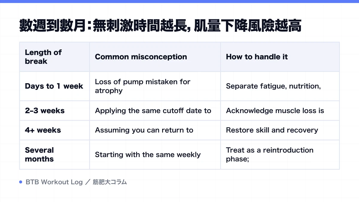 Diagram: 數週到數月：無刺激時間越長，肌量下降風險越高