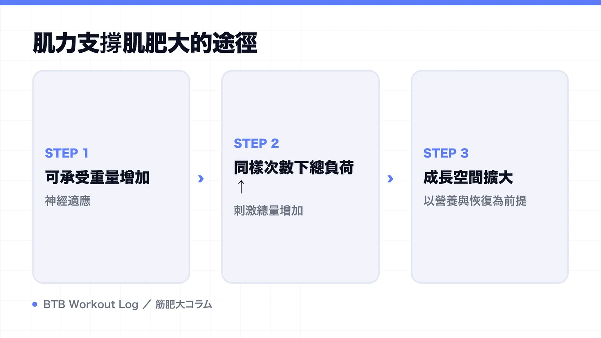 Diagram: 肌力支撐肌肥大的途徑