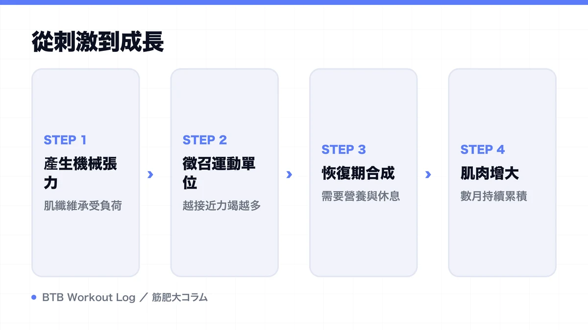Diagram: 從刺激到成長