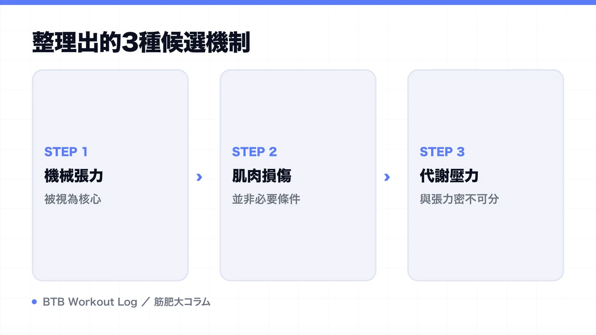Diagram: 整理出的3種候選機制