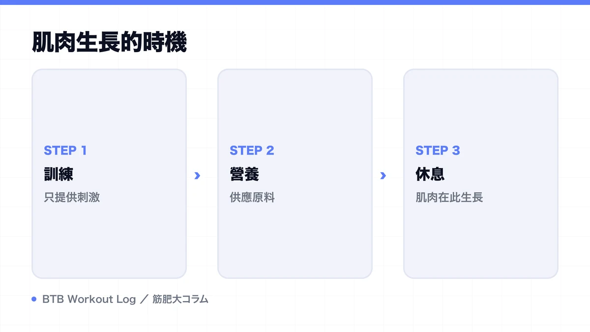 Diagram: 肌肉生長的時機