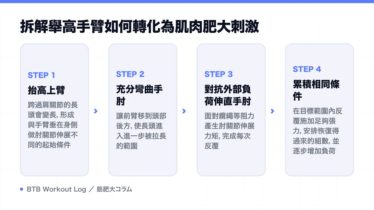 Diagram: 拆解舉高手臂如何轉化為肌肉肥大刺激
