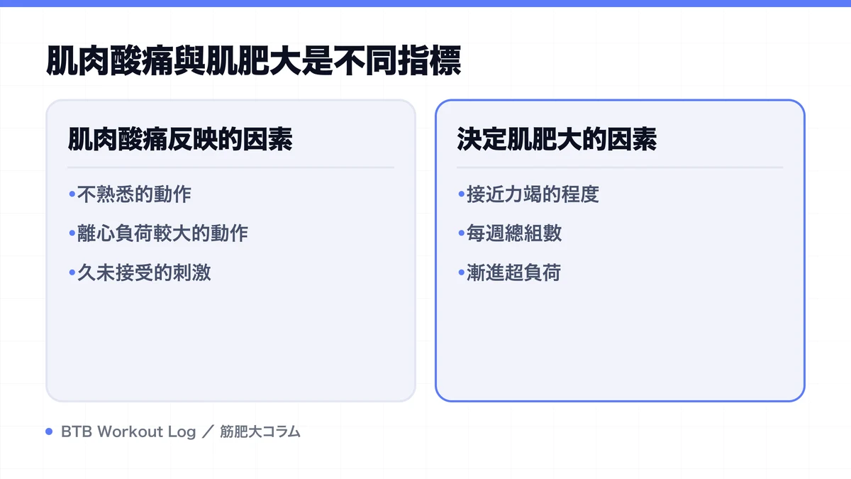 Diagram: 肌肉酸痛與肌肥大是不同指標
