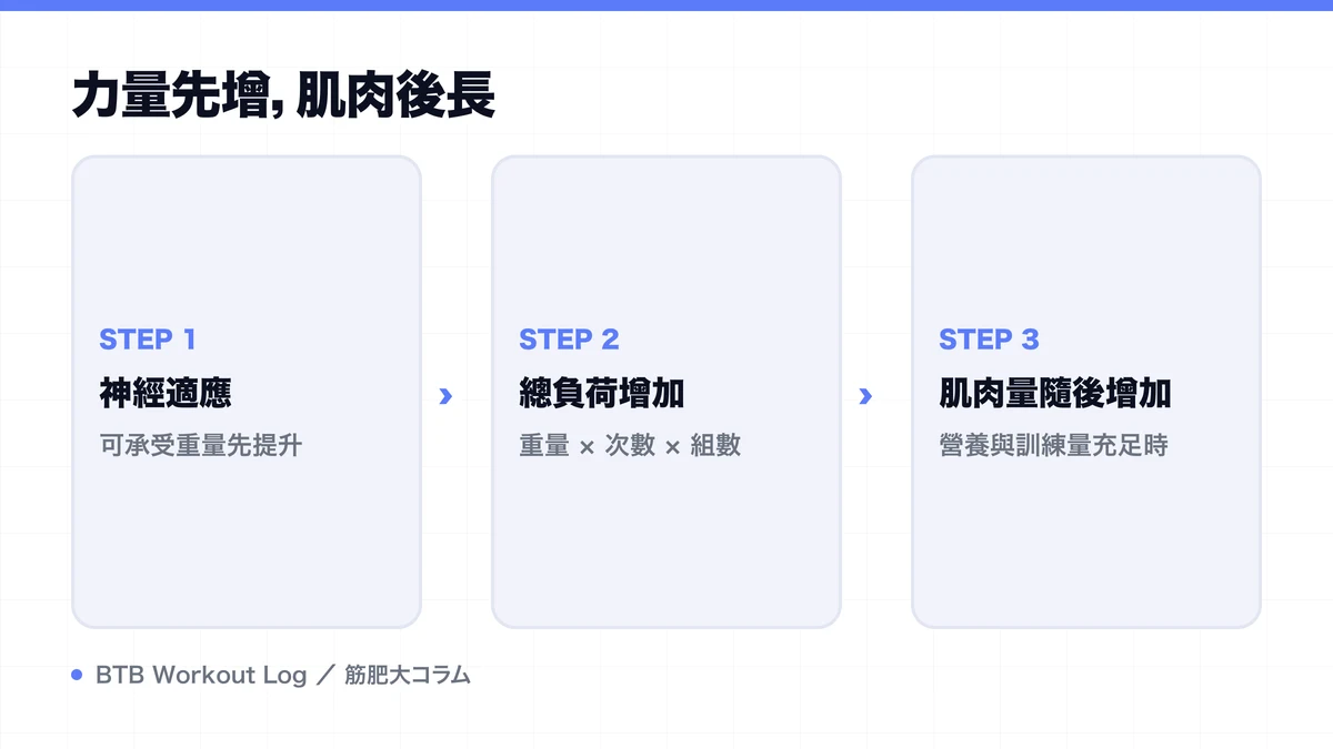 Diagram: 力量先增，肌肉後長