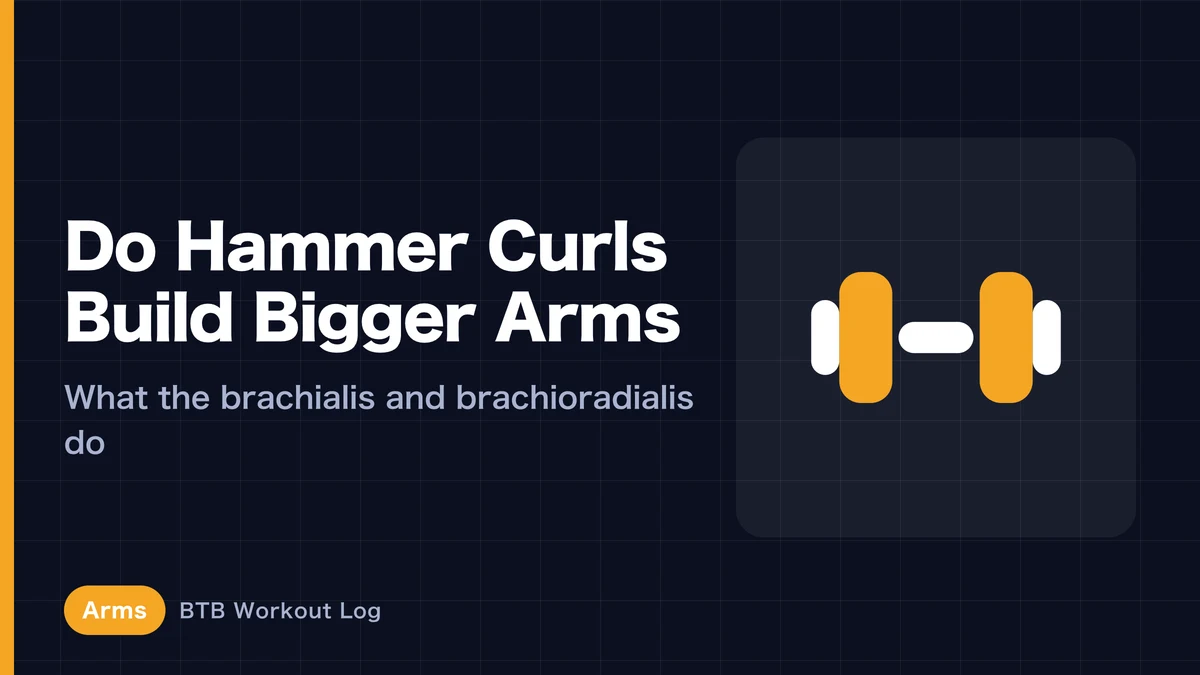 Hammer Curls for Bigger Arms | Why the Brachialis and Brachioradialis Matter