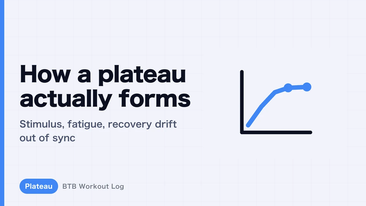 How Does a Plateau Actually Form? The Process Behind Hypertrophy Stalling