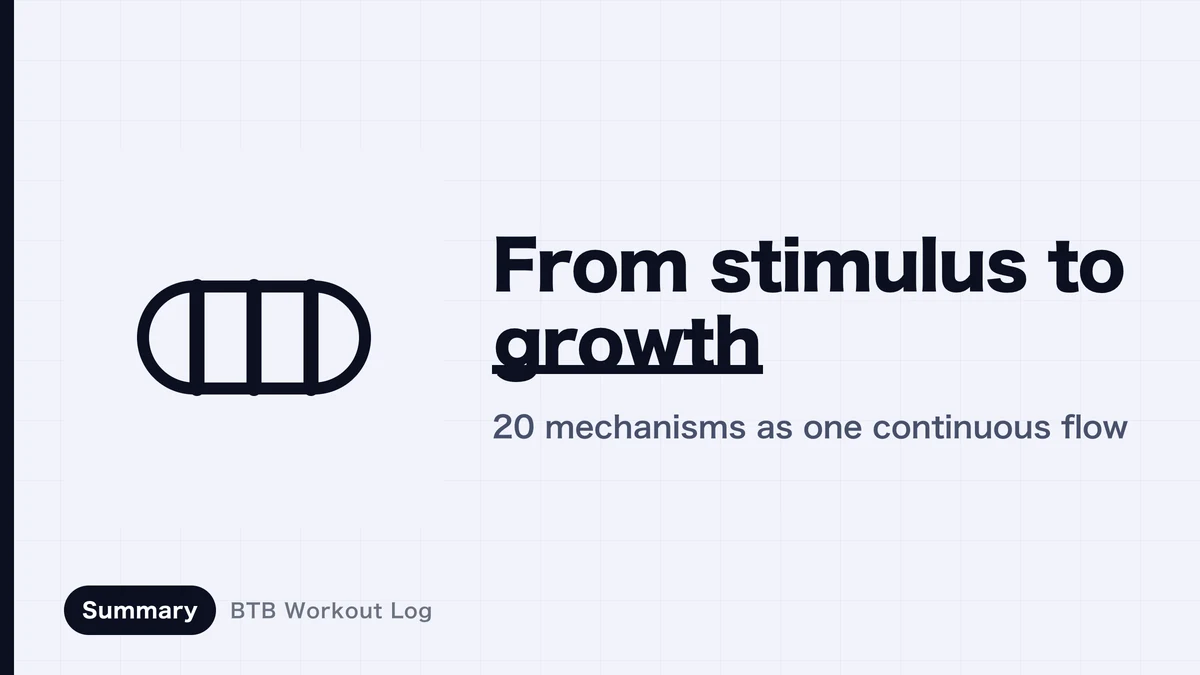 How Hypertrophy Happens | Understanding the Path from Stimulus to Growth, Step by Step