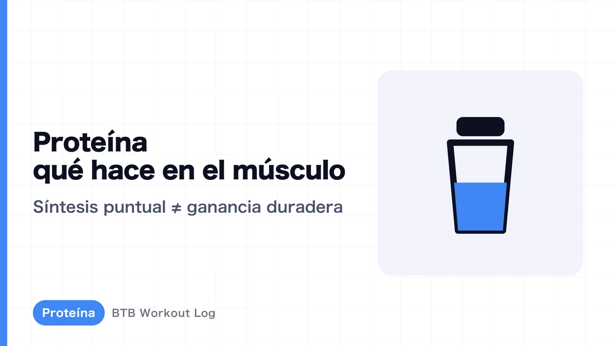 ¿Qué ocurre en tus músculos cuando consumes proteína? Síntesis de proteína muscular explicada