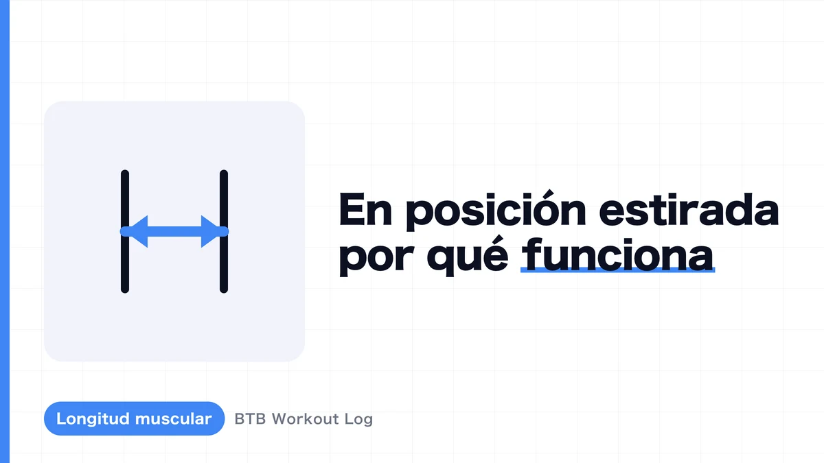 ¿Por qué la carga en posición de estiramiento genera más hipertrofia muscular?