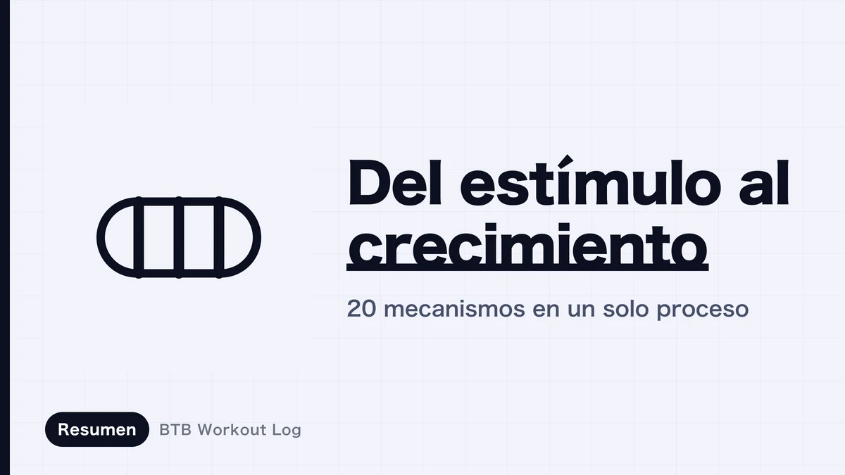 Cómo funciona la hipertrofia muscular | Entiende el camino del estímulo al crecimiento